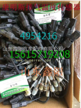潍柴德龙欧曼华菱大运解放SCR排气温度传感器 612640130648图1