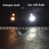 H11 50W黑铝 汽车LED大功率雾灯 H8 10SMD cree防雾灯黑色外壳