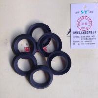 ACD低温泵密封配件进口料活塞环供应