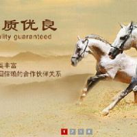 廊坊带座轴承厂家 金双紫机械活塞环