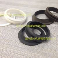 供应南宫BYD低温泵四氟活塞环导向环等配件