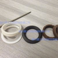 低温泵密封圈/四氟活塞环/导向环厂家拿货