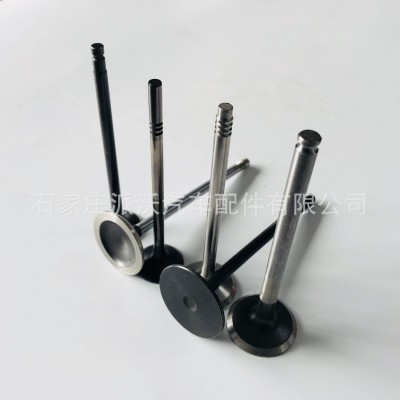 工厂现货供应进排气门 90220119 90220121 90323756 90323757图2