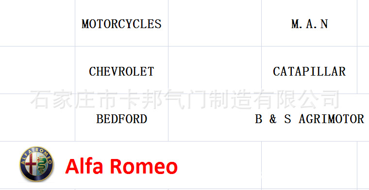 卡邦气门公司产品