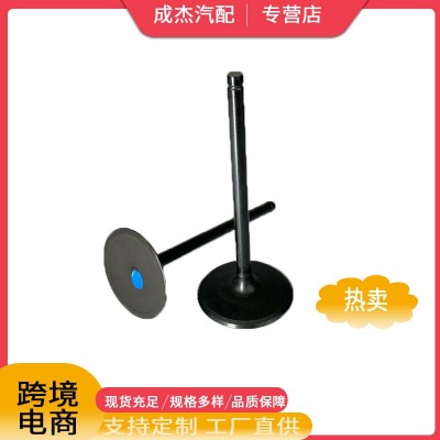汽车排气门适用于凯迪拉克雪佛兰雷德12629513图3