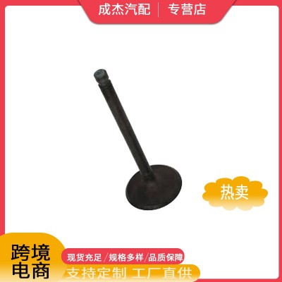 汽车排气门适用于凯迪拉克雪佛兰雷德12629513图4