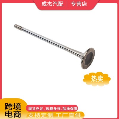 适用于别克昂科拉/雪佛兰 春分/迈锐宝/特拉克斯排气门 12637241图2