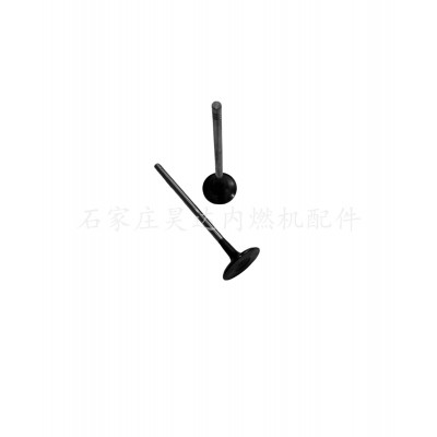 厂家现货直销雪佛兰发动机进排气门/气门阀55569449 55569450配件图3
