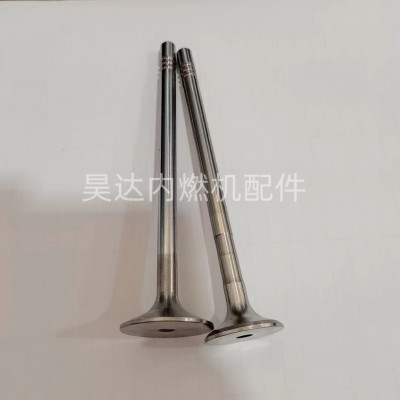 厂家现货供应 474Q 479Q 483Q 484Q发动机进排气门 进排气门阀图2