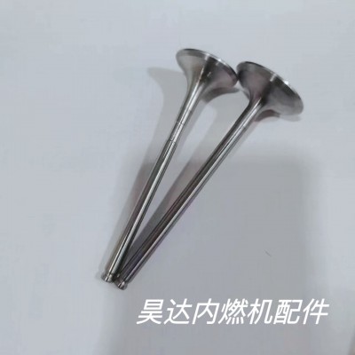 11347587470 11347547187 厂家现货供应标志1.6T发动机进排气门图2