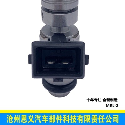 汽车喷油器 喷油嘴配件 发动机配件 IWP022 适用于高尔夫图2