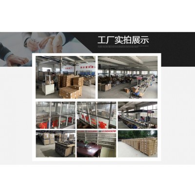 雅绅特 VVT MANDO款汽车发电机37300-22200 13702N图4