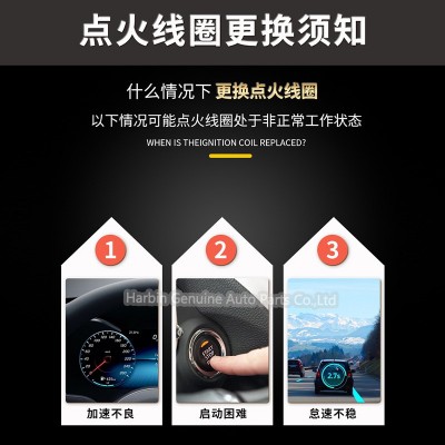 C6R-800 ignition coils 油式点火线圈图3