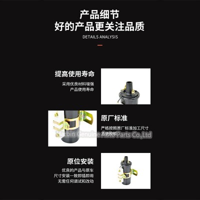 C6R-800 ignition coils 油式点火线圈图4