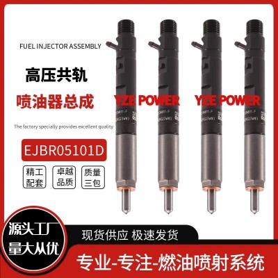EJBR05101D 全新喷油器 8200676774 适用于雷诺1.5LdCi质量稳定图3