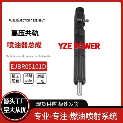 EJBR05101D 全新喷油器 8200676774 适用于雷诺1.5LdCi质量稳定图2