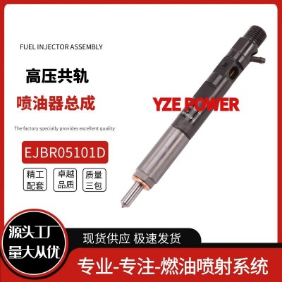 EJBR05101D 全新喷油器 8200676774 适用于雷诺1.5LdCi质量稳定图5