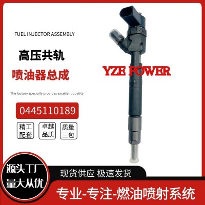 0445110189适用于奔驰梅赛德斯 共轨喷油器喷油嘴 04451101