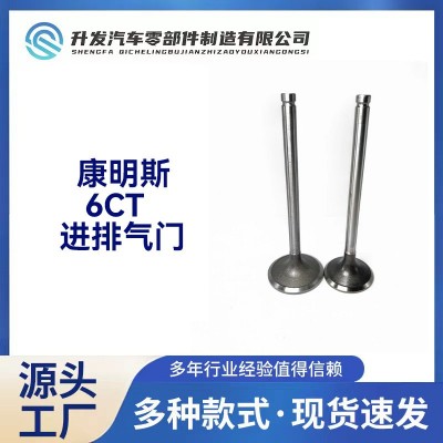 康明斯 6CT 3921444 3924492 Cummins进排气门工厂直营高质量配件图2