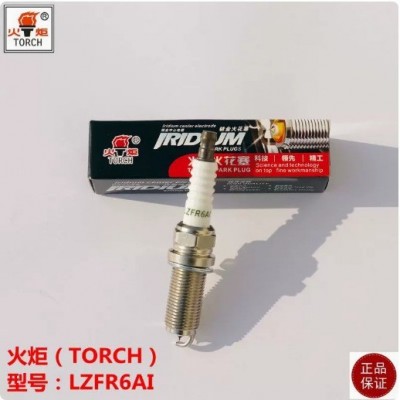 适配广汽吉奥GX6奥轩G5/GX5 4G69S4N 星朗火炬LZFR6AI铱金火花塞图3