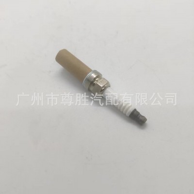 境外热销 适用于法拉利 玛莎拉蒂Quattroporte 火花塞 000310235图4