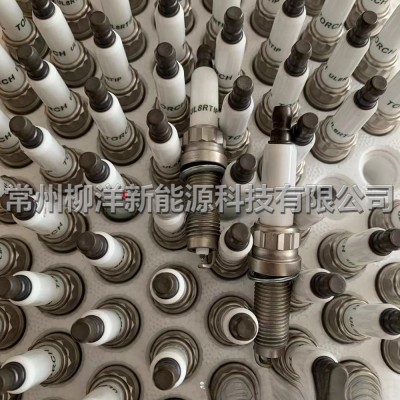 适用于理想LIXIANGL6L7L8L9 1.5T发动机L2E15M增程器火花塞图2