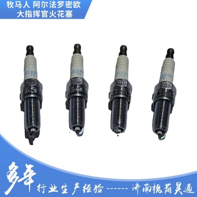 新款牧马人 大指挥官 2.0T 火花塞 嘴子图3