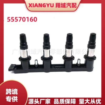 55570160 汽车点火线圈 适用别克雪佛兰欧宝萨博厂家直销24107494图2